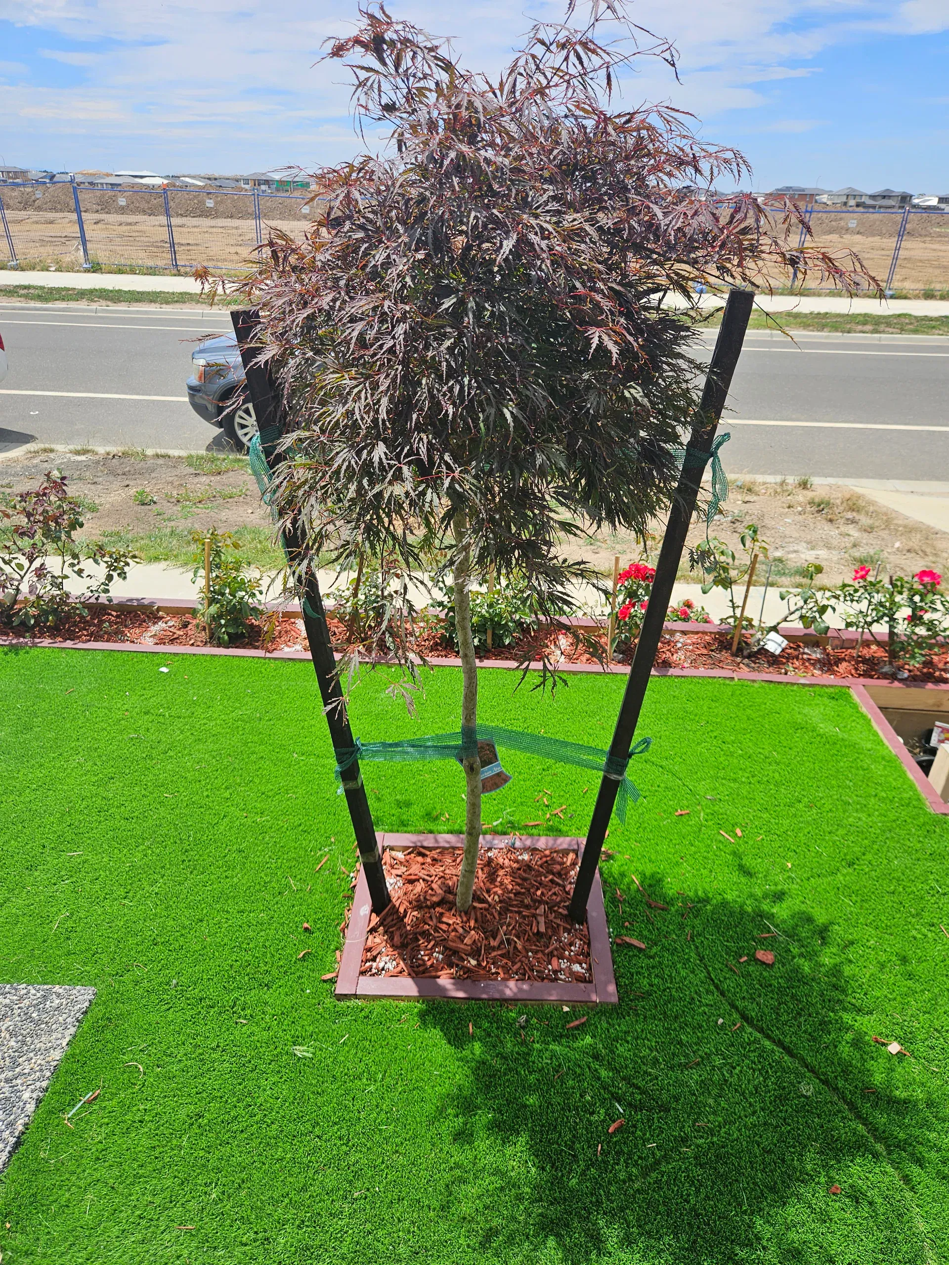 Clyde front-yard landscaping — retaining beds and turf